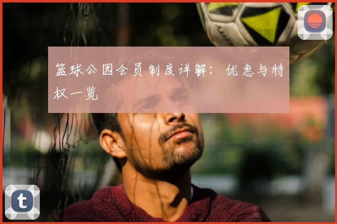 篮球公园会员制度详解:优惠与特权一览