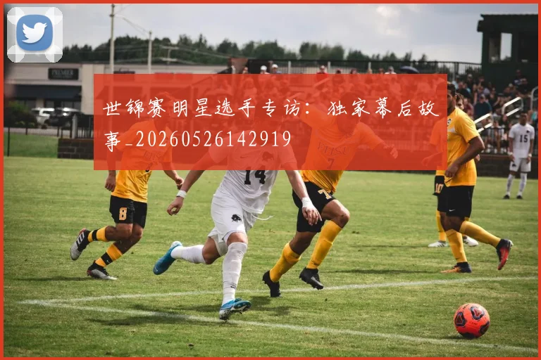 世锦赛明星选手专访:独家幕后故事_20260526142919