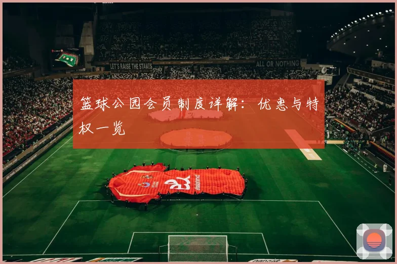 篮球公园会员制度详解:优惠与特权一览